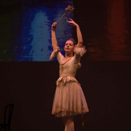 Brandon Ragland - Cinderella's Ball Fairy Godmother
